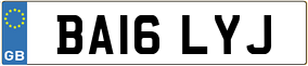 Truck License Plate